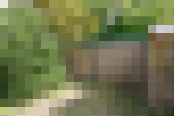 Stadhouderlaan 18 Mijdrecht thumbnail 8