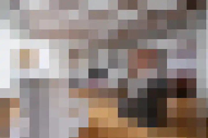 Stadhouderlaan 2 Horn thumbnail 10