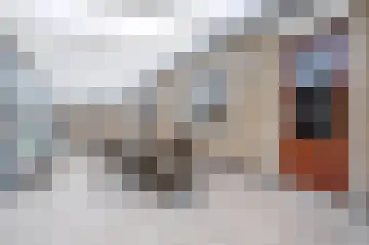 Stadhouderlaan 2 Horn thumbnail 16
