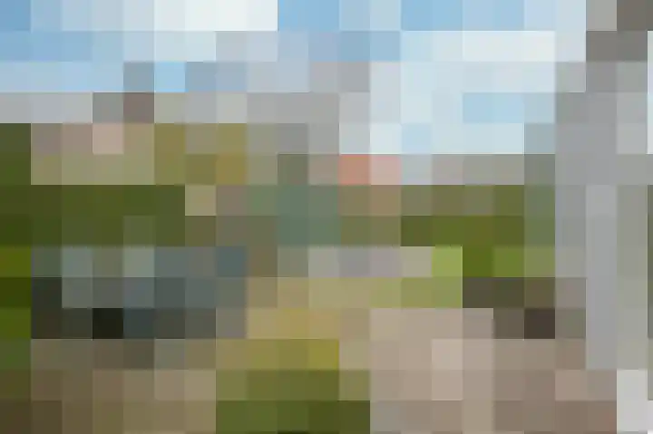 Stadhouderlaan 2 Horn thumbnail 25