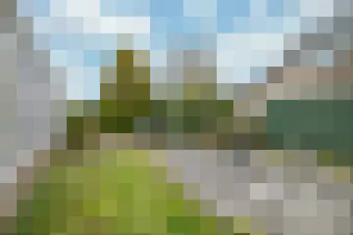 Stadhouderlaan 2 Horn thumbnail 26