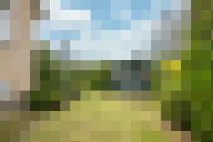 Stadhouderlaan 2 Horn thumbnail 27