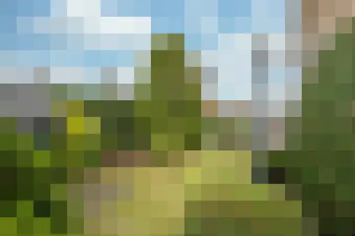 Stadhouderlaan 2 Horn thumbnail 28