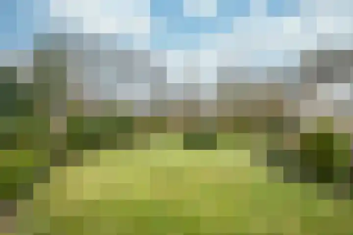 Stadhouderlaan 2 Horn thumbnail 30