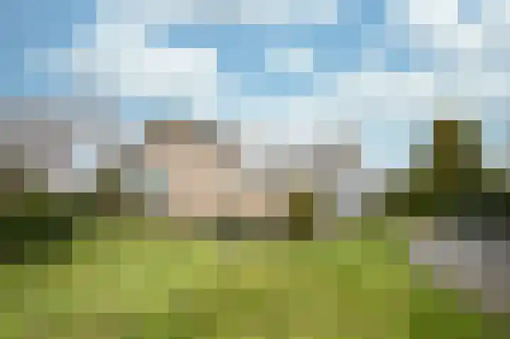 Stadhouderlaan 2 Horn thumbnail 31