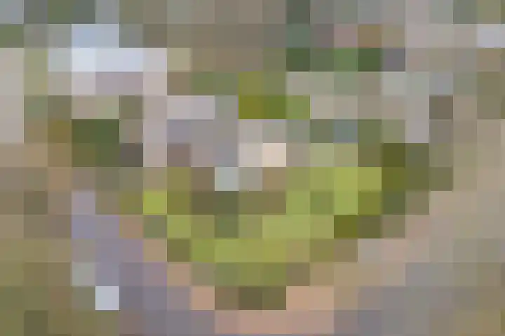 Stadhouderlaan 2 Horn thumbnail 34