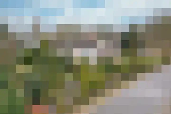 Stadhouderlaan 2 Horn thumbnail 35