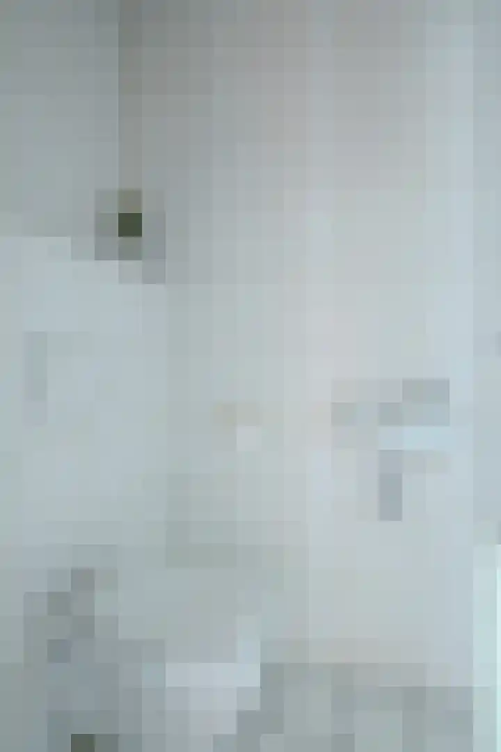 Stadhouderlaan 2 Horn thumbnail 5