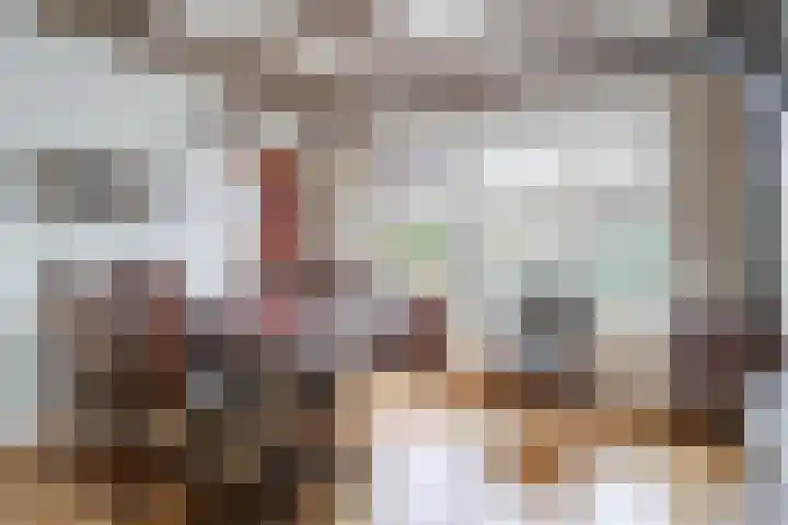 Stadhouderlaan 2 Horn thumbnail 8