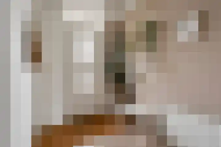 Stadhouderlaan 212 Heerenveen thumbnail 13