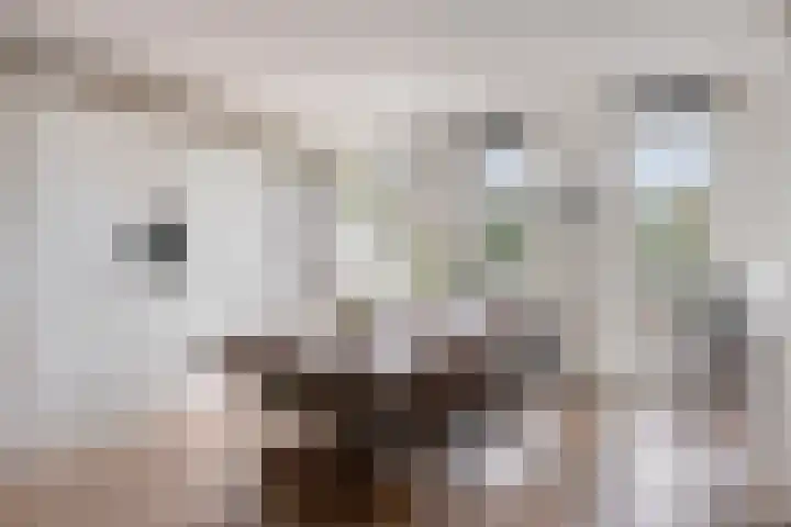 Stadhouderlaan 212 Heerenveen thumbnail 19
