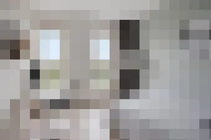 Stadhouderlaan 212 Heerenveen thumbnail 27
