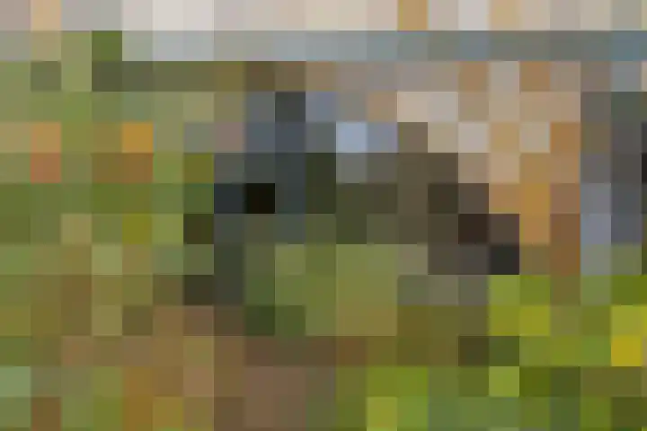 Stadhouderlaan 212 Heerenveen thumbnail 31