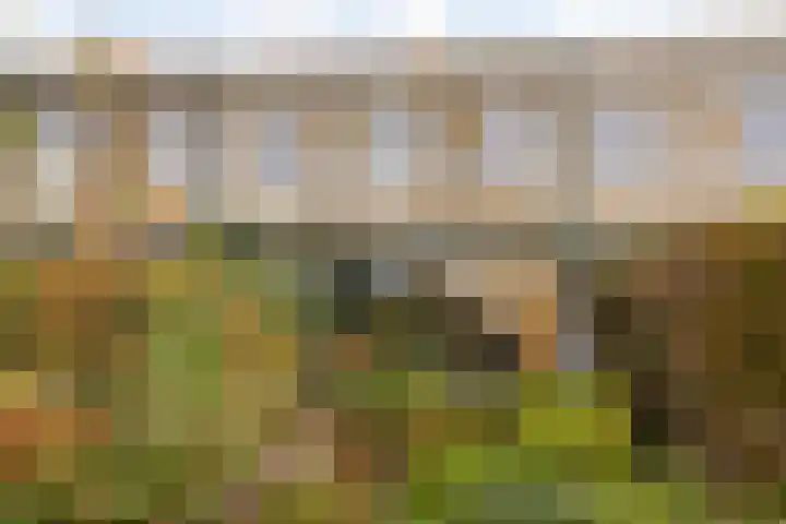 Stadhouderlaan 212 Heerenveen thumbnail 32