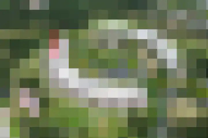Stadhouderlaan 212 Heerenveen thumbnail 5
