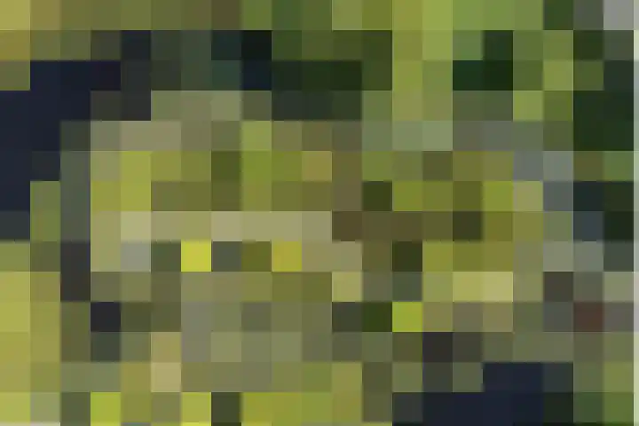 Stadhouderlaan 212 Heerenveen thumbnail 6
