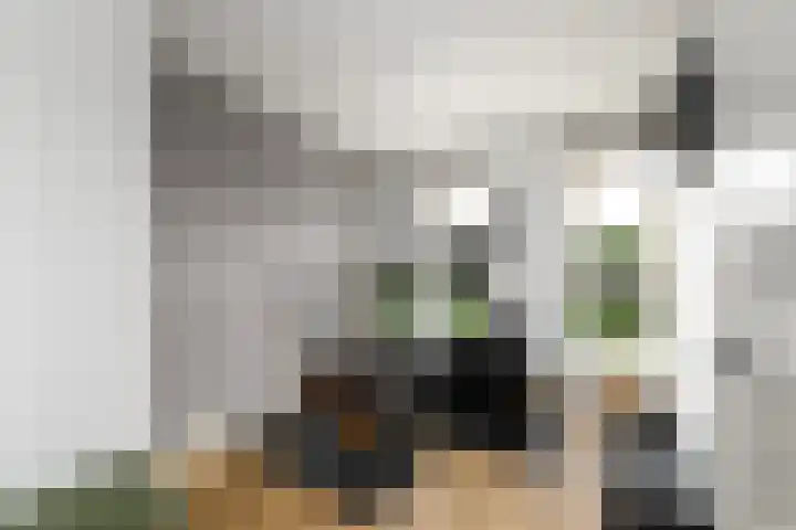 Stadhouderlaan 214 Heerenveen thumbnail 24