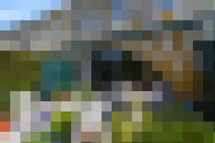 Stadhouderlaan 214 Heerenveen thumbnail 38