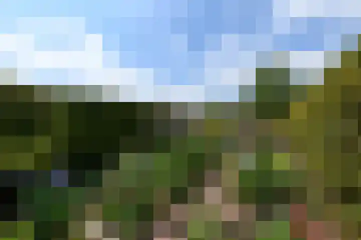 Stadhouderlaan 214 Heerenveen thumbnail 40