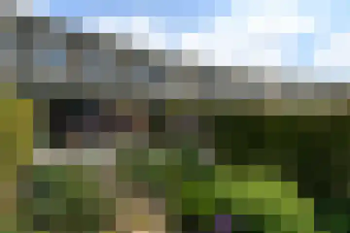 Stadhouderlaan 214 Heerenveen thumbnail 41