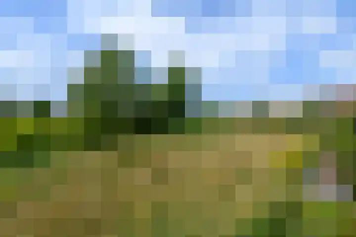 Stadhouderlaan 214 Heerenveen thumbnail 42