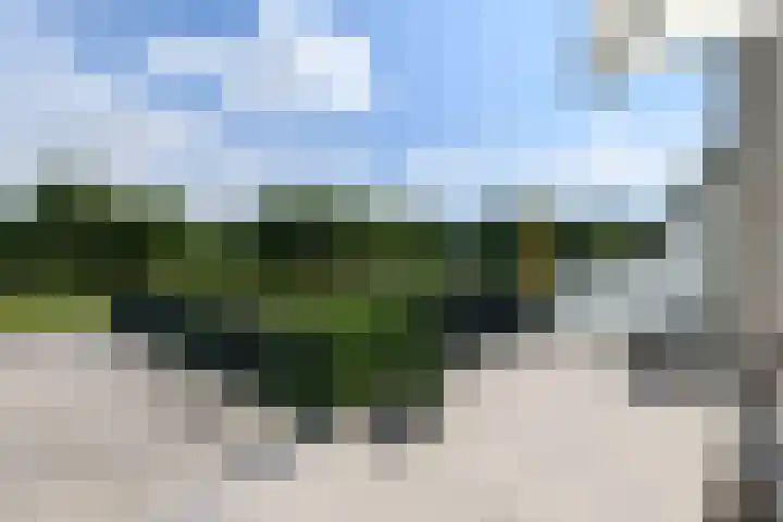 Stadhouderlaan 214 Heerenveen thumbnail 45
