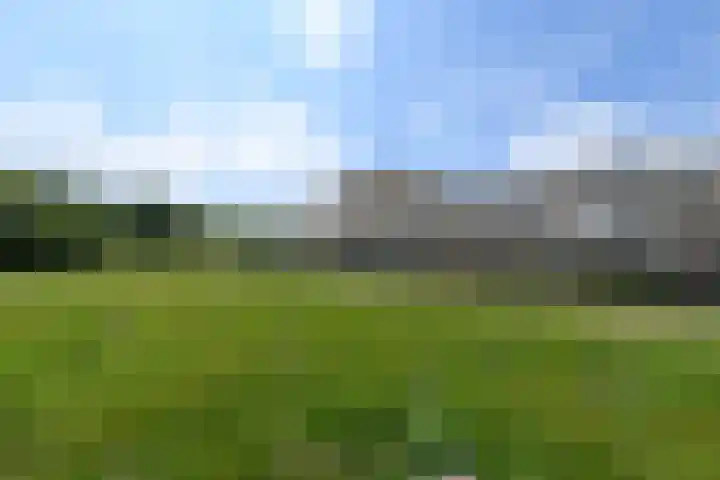 Stadhouderlaan 214 Heerenveen thumbnail 47