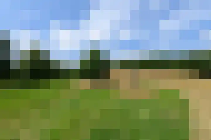 Stadhouderlaan 214 Heerenveen thumbnail 49