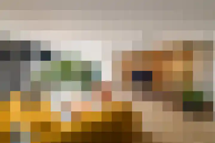 Stadhouderlaan 214 Heerenveen thumbnail 5