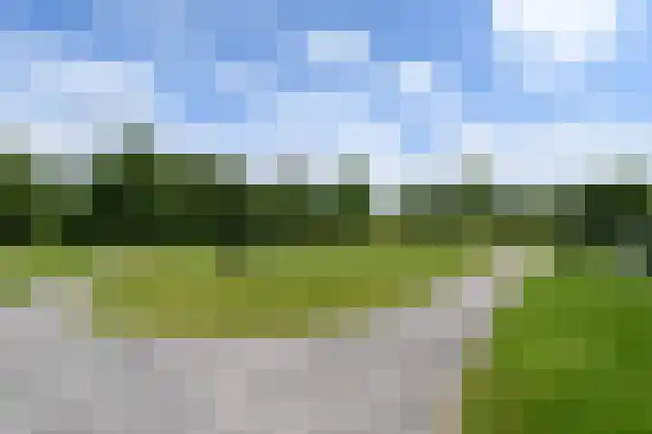 Stadhouderlaan 214 Heerenveen thumbnail 50