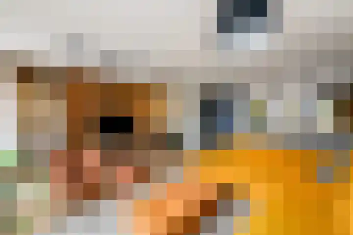 Stadhouderlaan 214 Heerenveen thumbnail 7