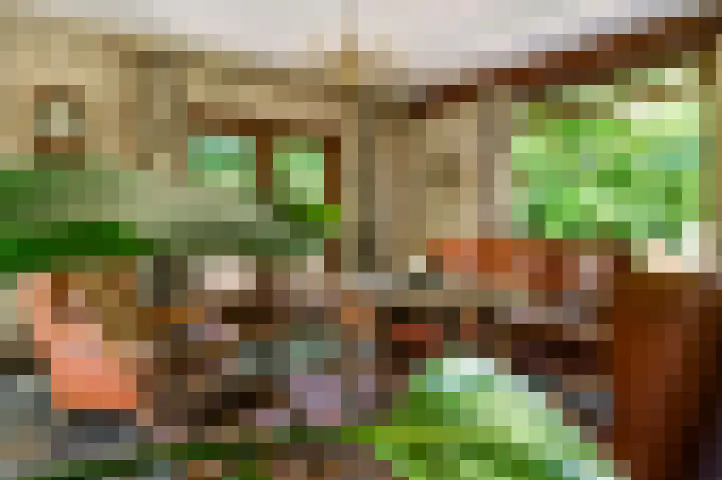 Stadhouderlaan 23 Horn thumbnail 11