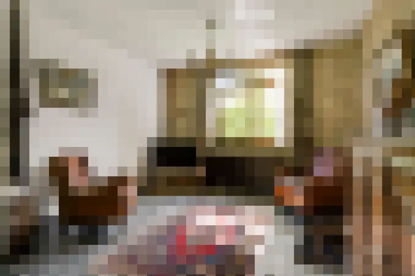 Stadhouderlaan 23 Horn thumbnail 12