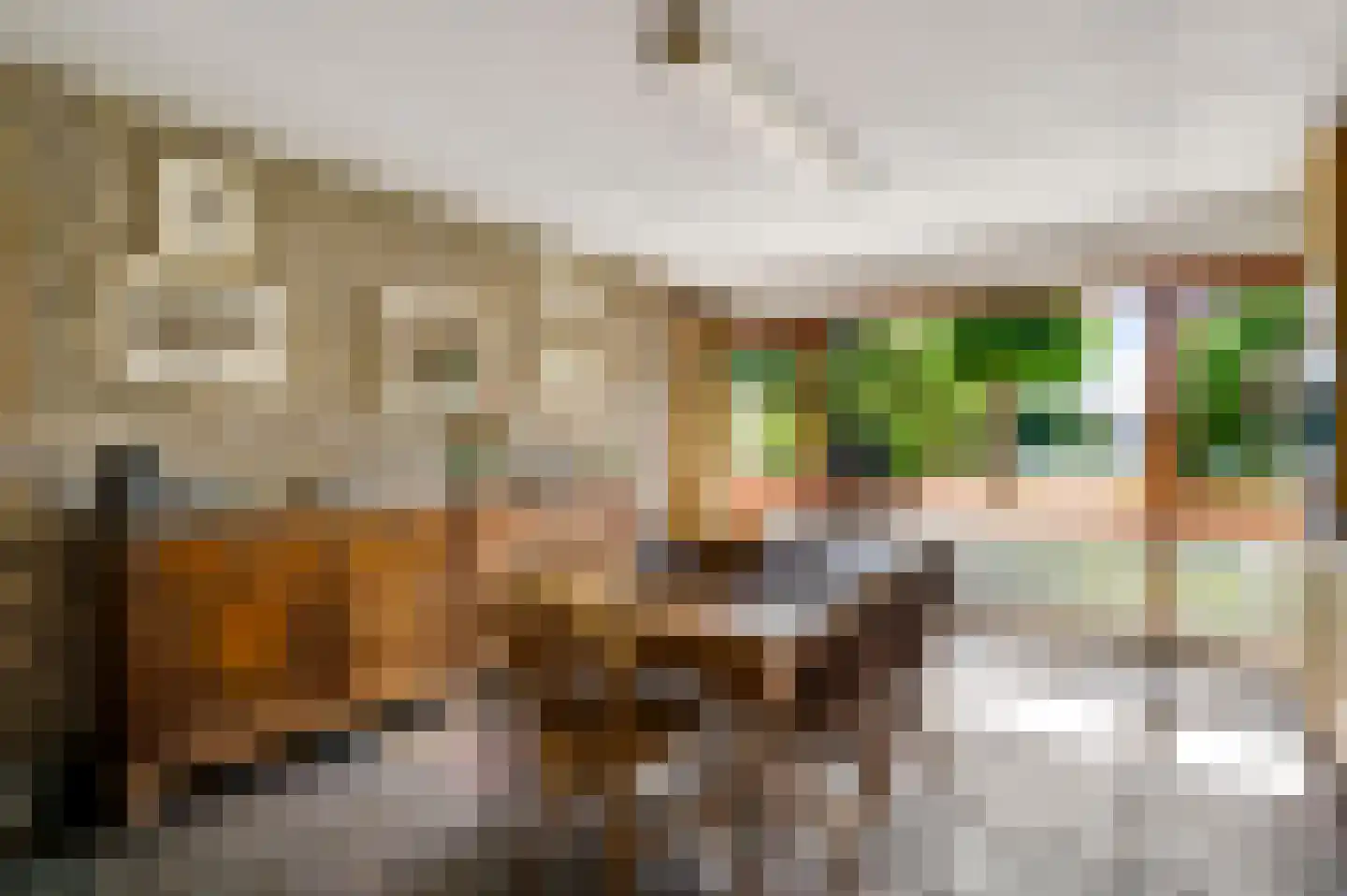 Stadhouderlaan 23 Horn thumbnail 20