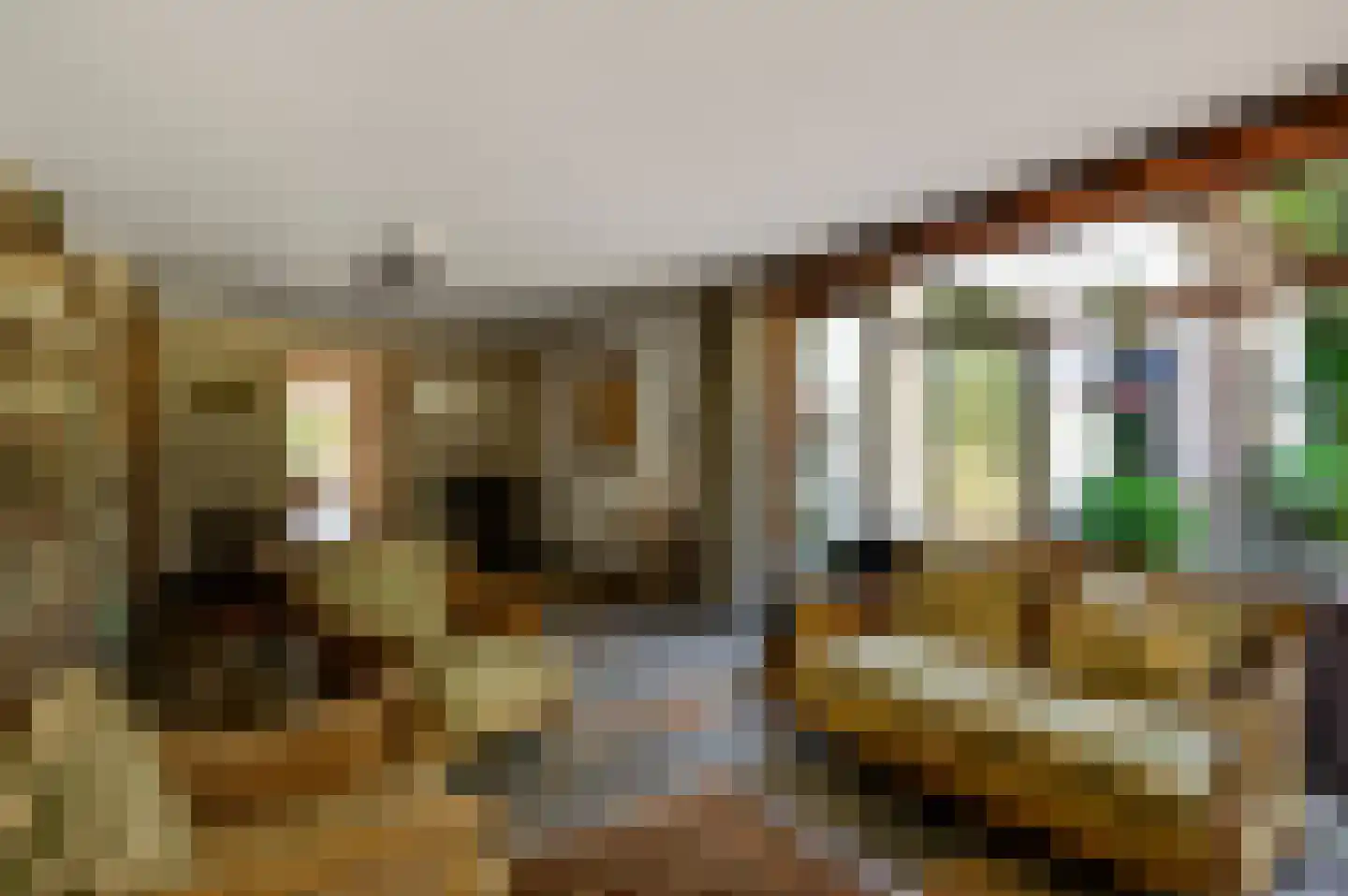Stadhouderlaan 23 Horn thumbnail 24
