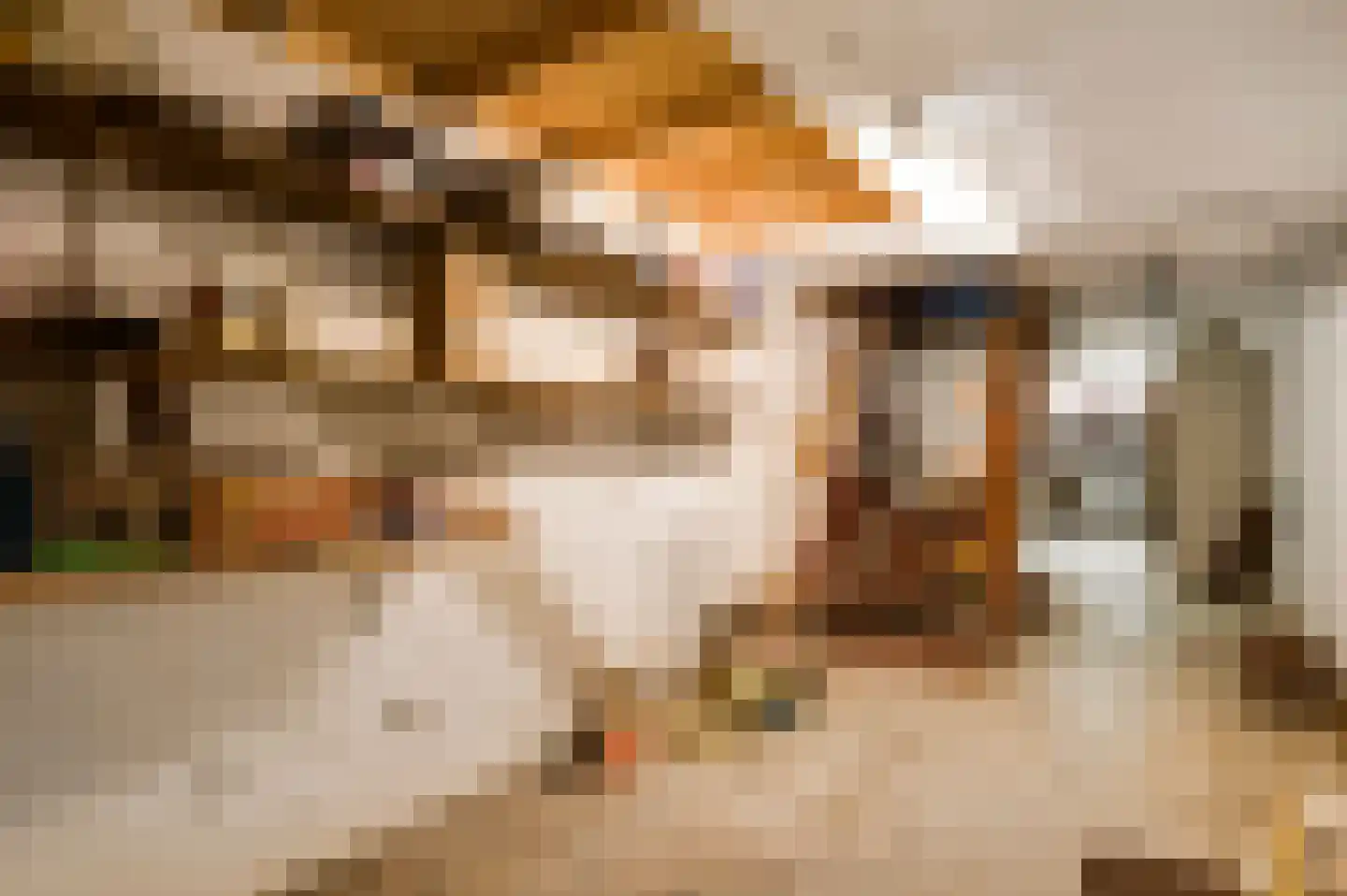 Stadhouderlaan 23 Horn thumbnail 30