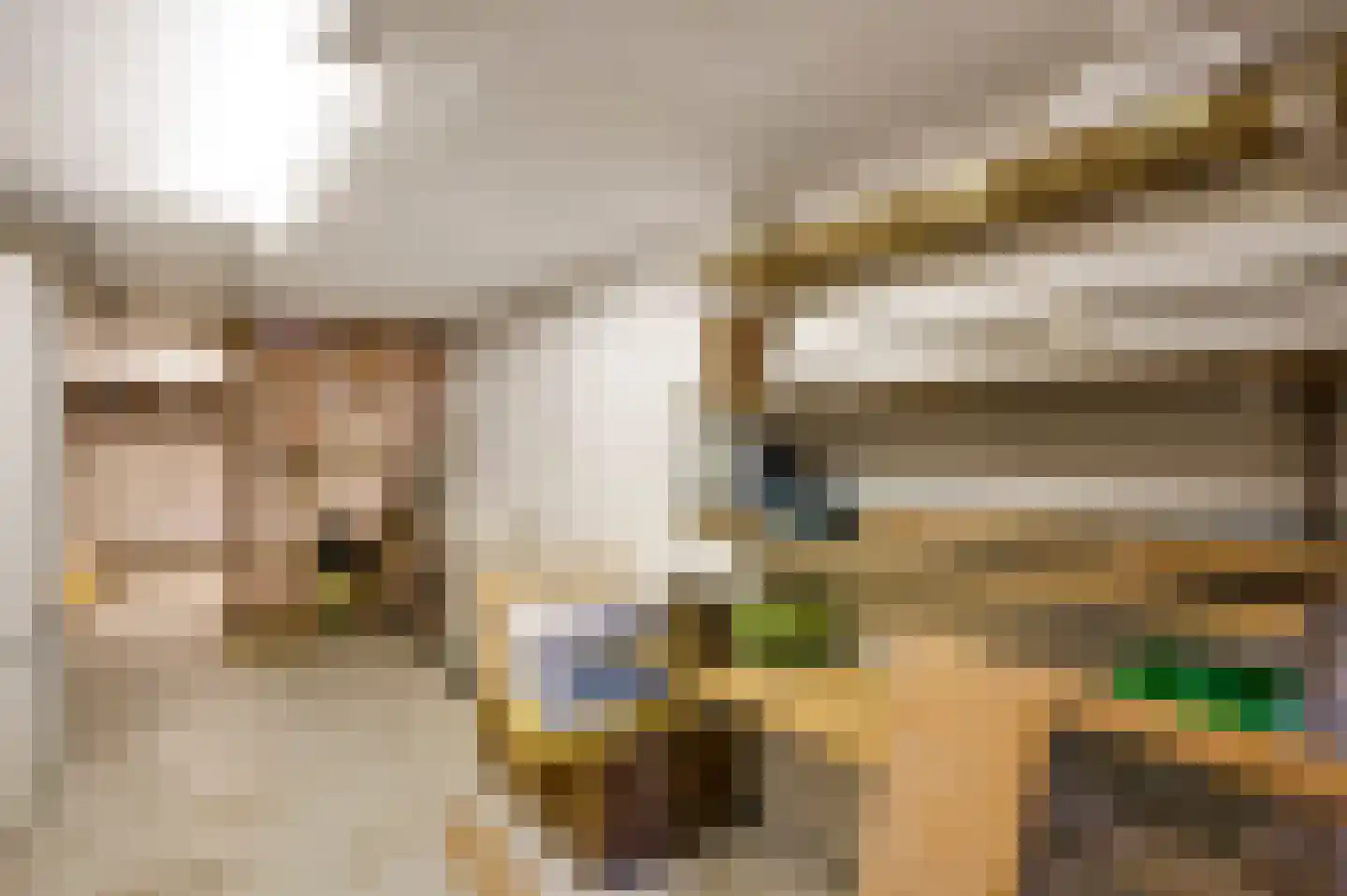 Stadhouderlaan 23 Horn thumbnail 31