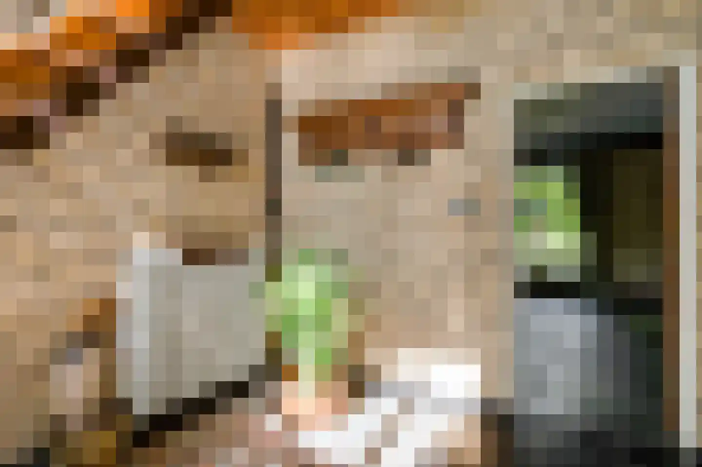 Stadhouderlaan 23 Horn thumbnail 32