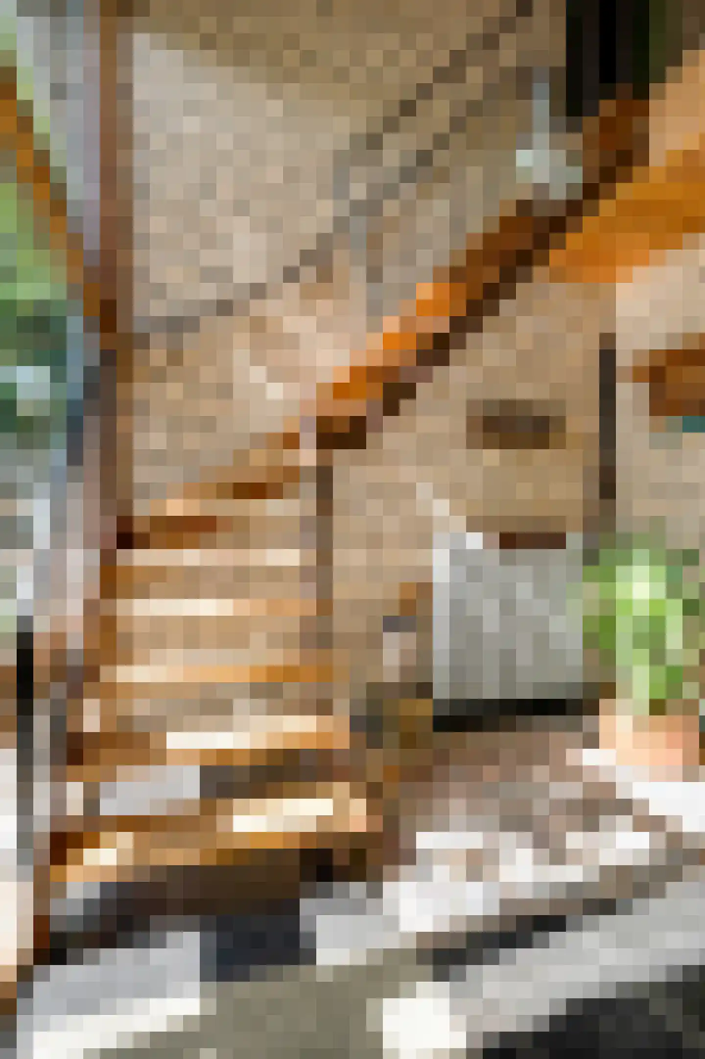 Stadhouderlaan 23 Horn thumbnail 34