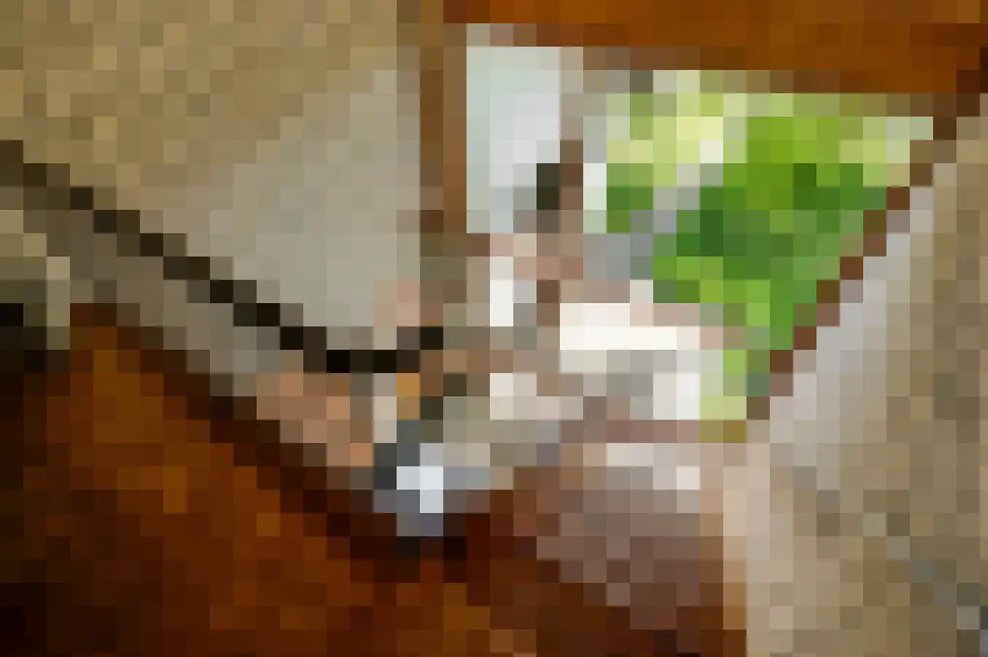 Stadhouderlaan 23 Horn thumbnail 35