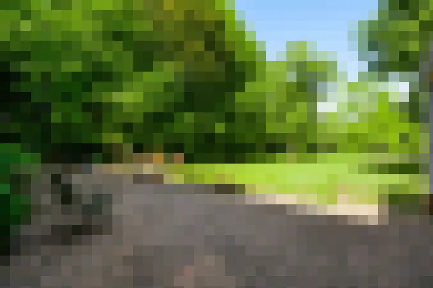 Stadhouderlaan 23 Horn thumbnail 4