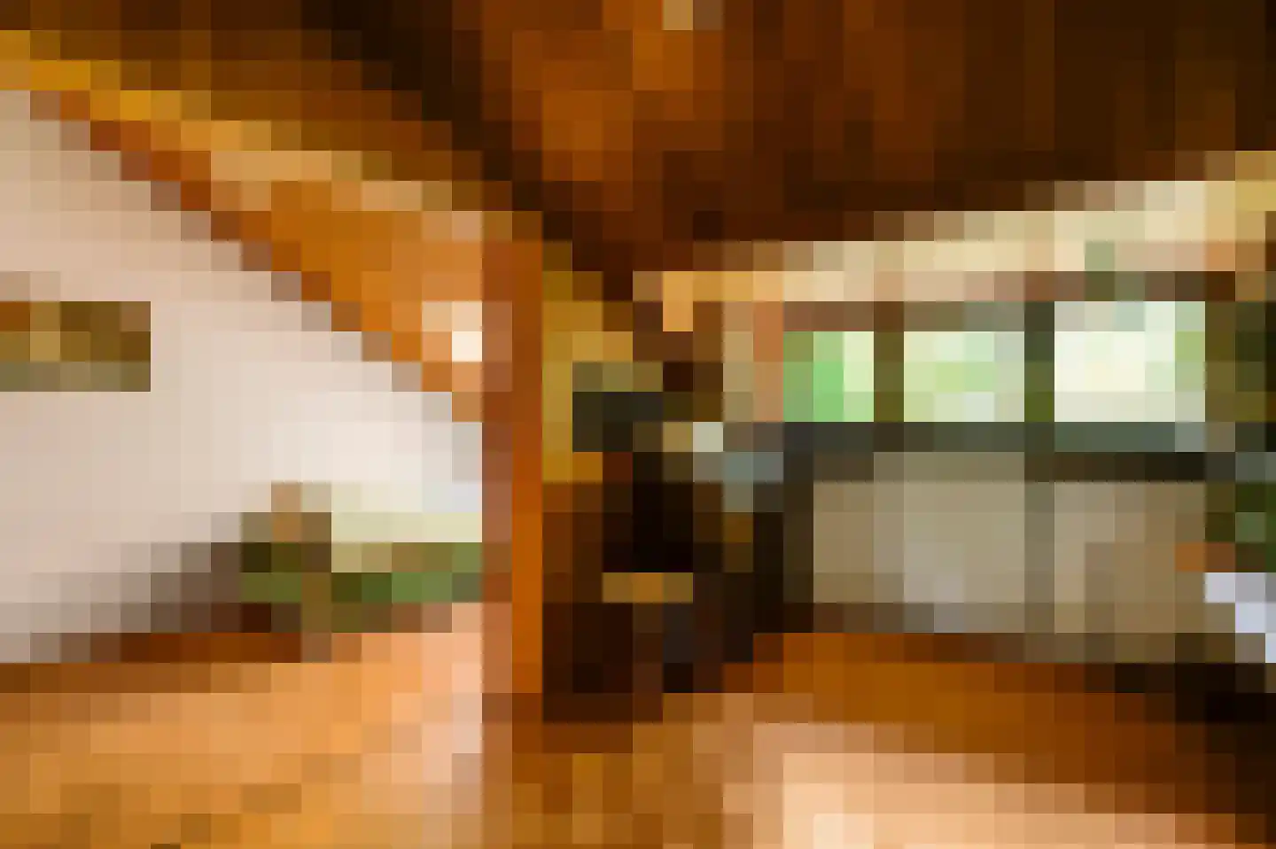 Stadhouderlaan 23 Horn thumbnail 44