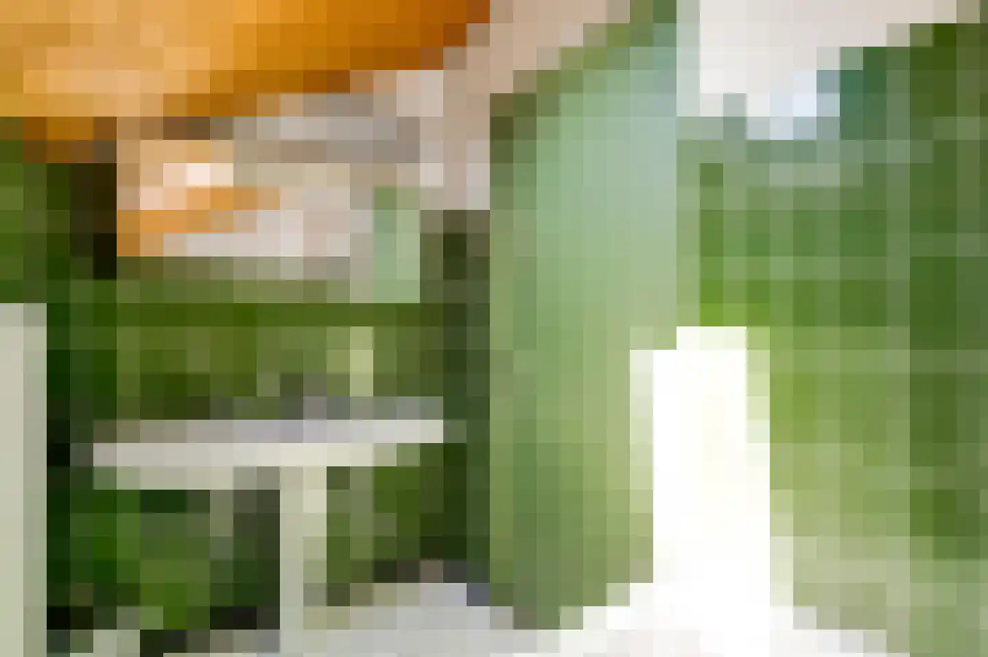 Stadhouderlaan 23 Horn thumbnail 49