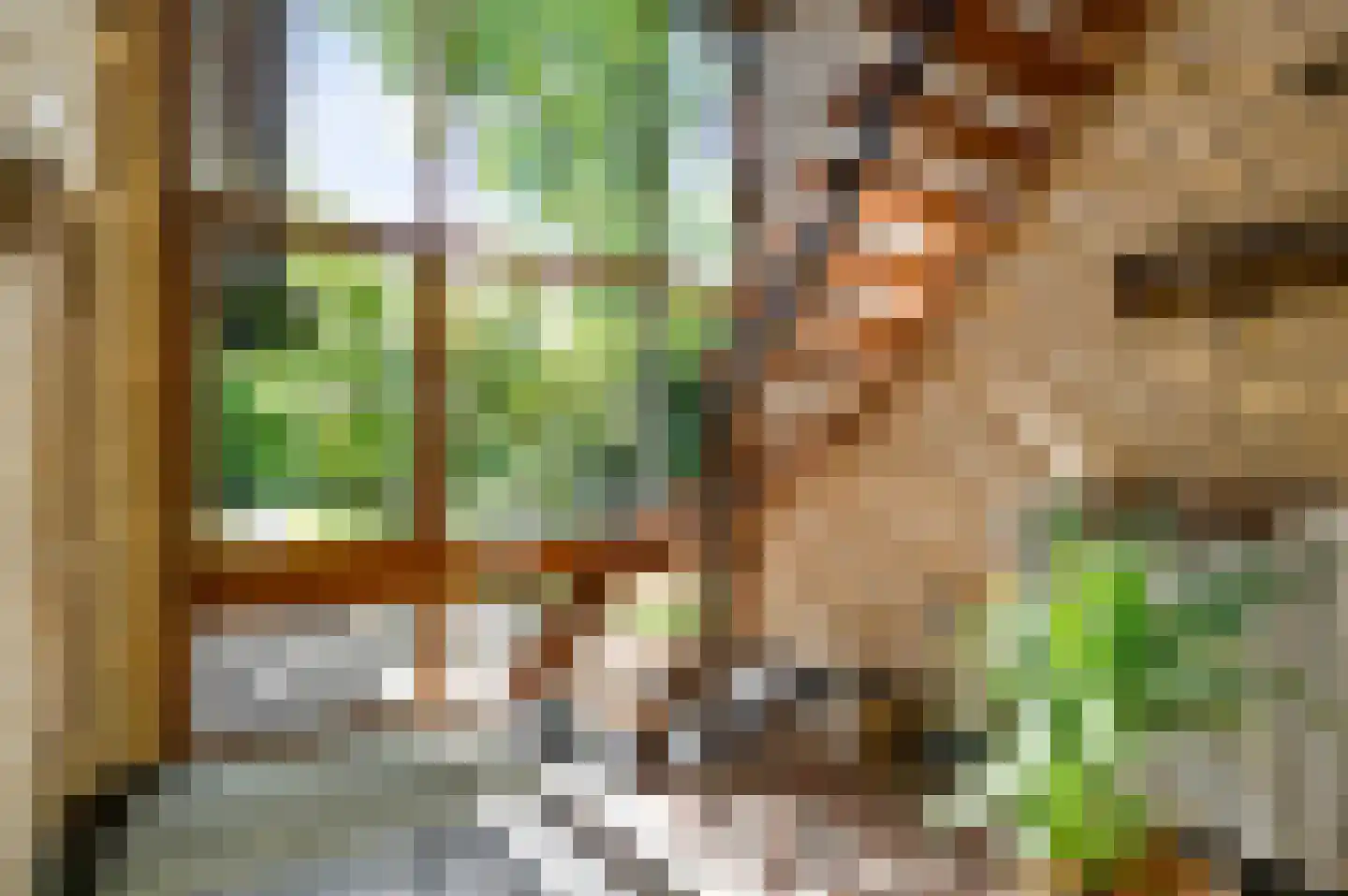 Stadhouderlaan 23 Horn thumbnail 5
