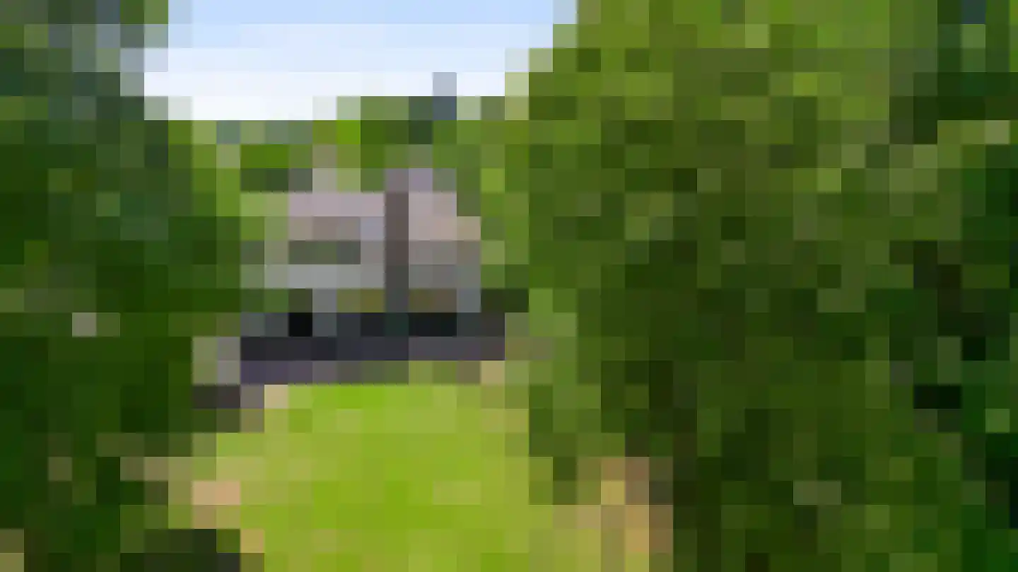 Stadhouderlaan 23 Horn thumbnail 52