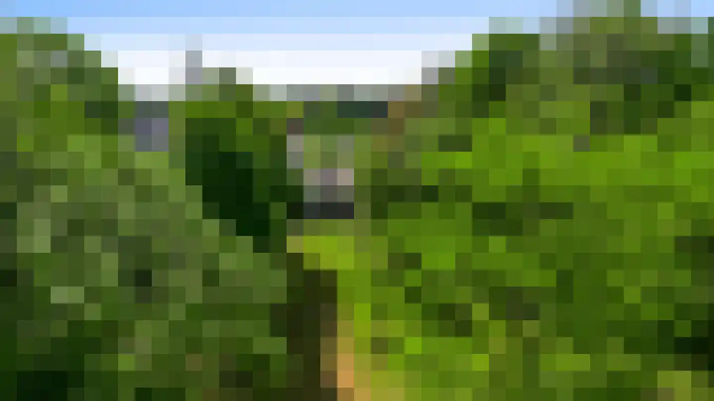 Stadhouderlaan 23 Horn thumbnail 53