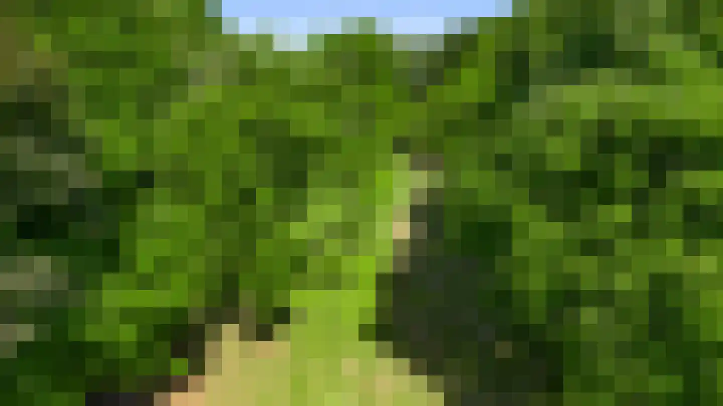 Stadhouderlaan 23 Horn thumbnail 54