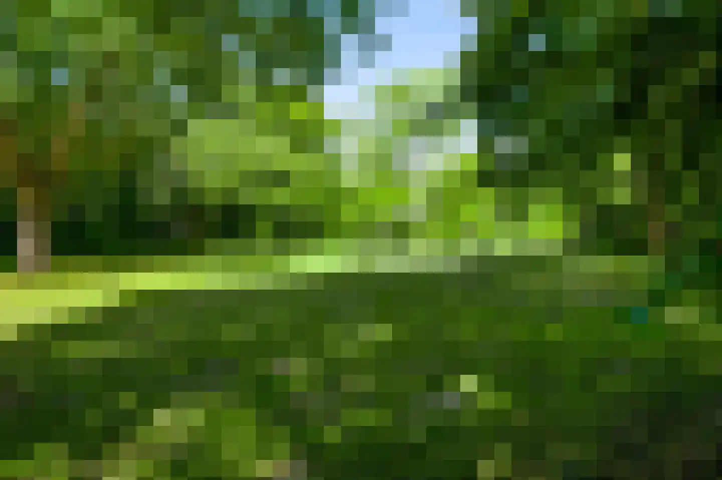Stadhouderlaan 23 Horn thumbnail 56