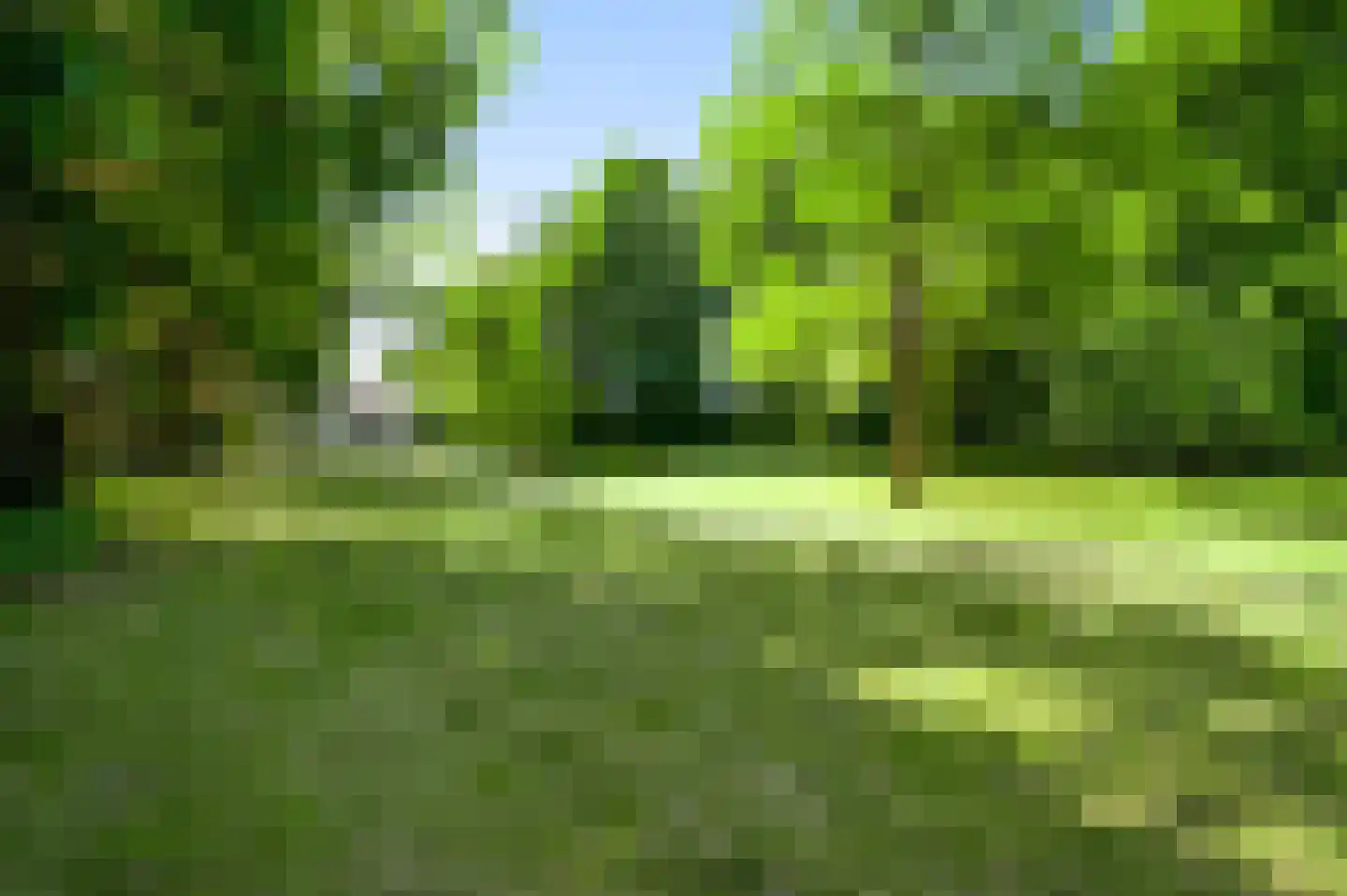 Stadhouderlaan 23 Horn thumbnail 57