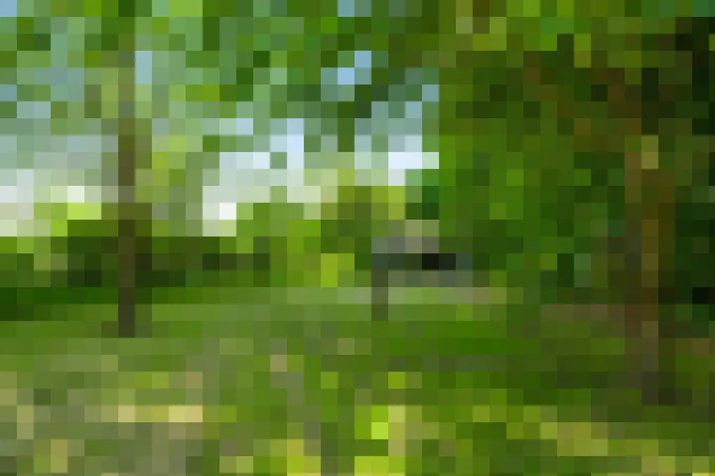 Stadhouderlaan 23 Horn thumbnail 58